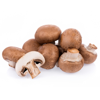 HOFER MARKTPLATZ Champignons braun 500g