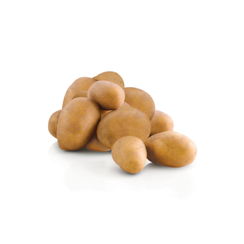HOFER MARKTPLATZ Kartoffeln 2kg, festkochend